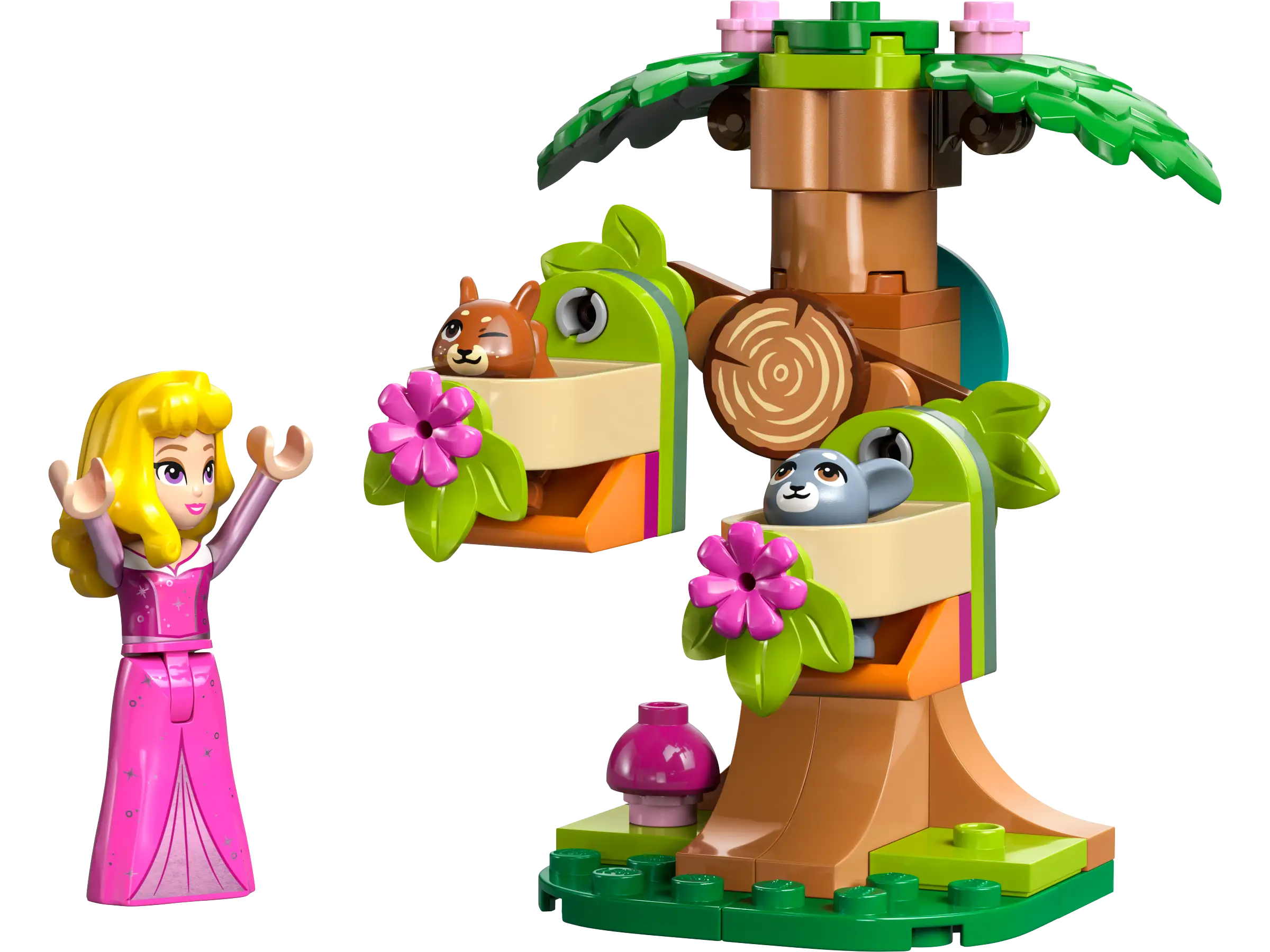 30671 オーロラの森のプレイグラウンド - ディズニープリンセス (2024年)