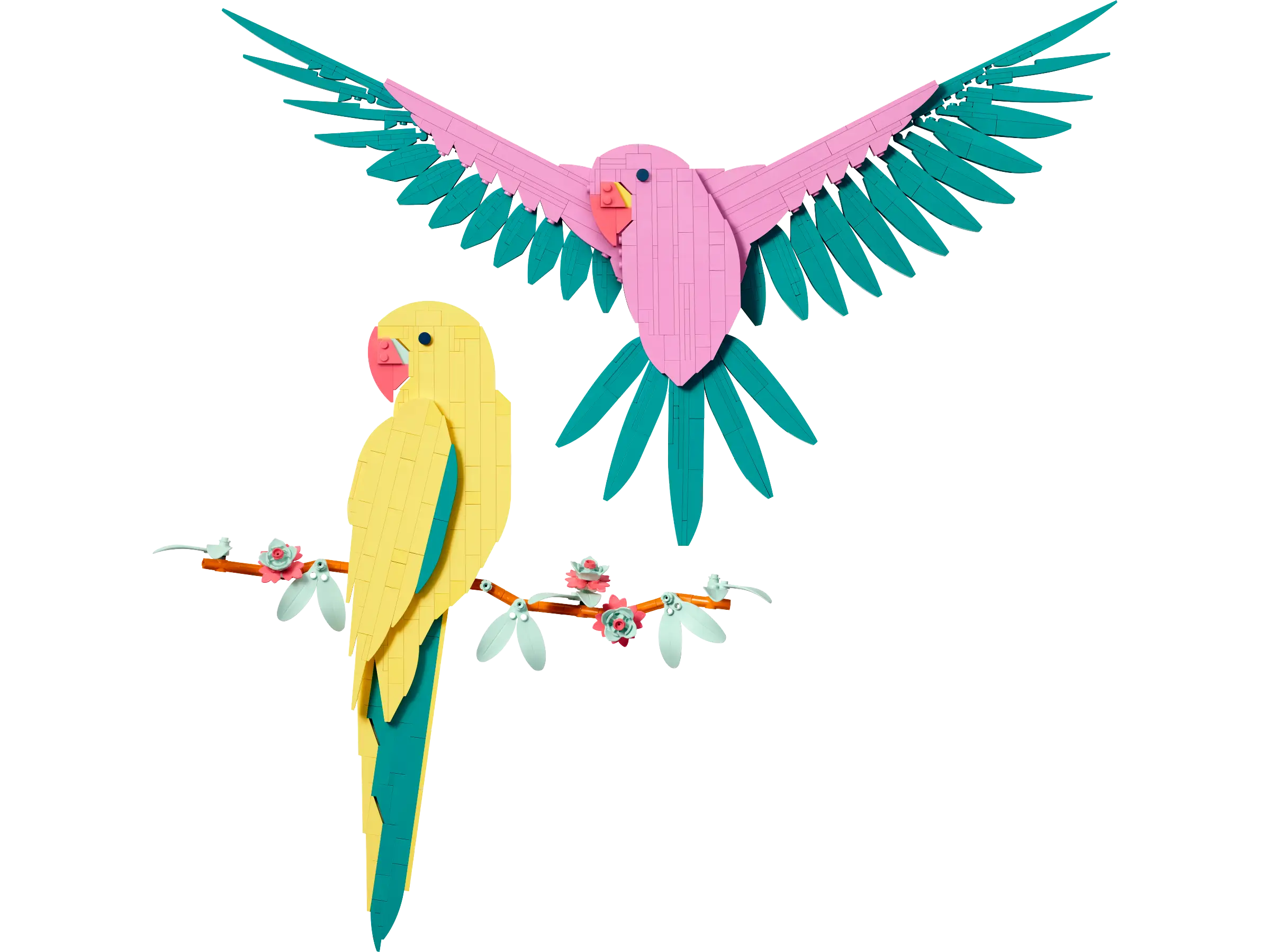 31211 動物コレクション – コンゴウインコ - レゴアート (2024年}