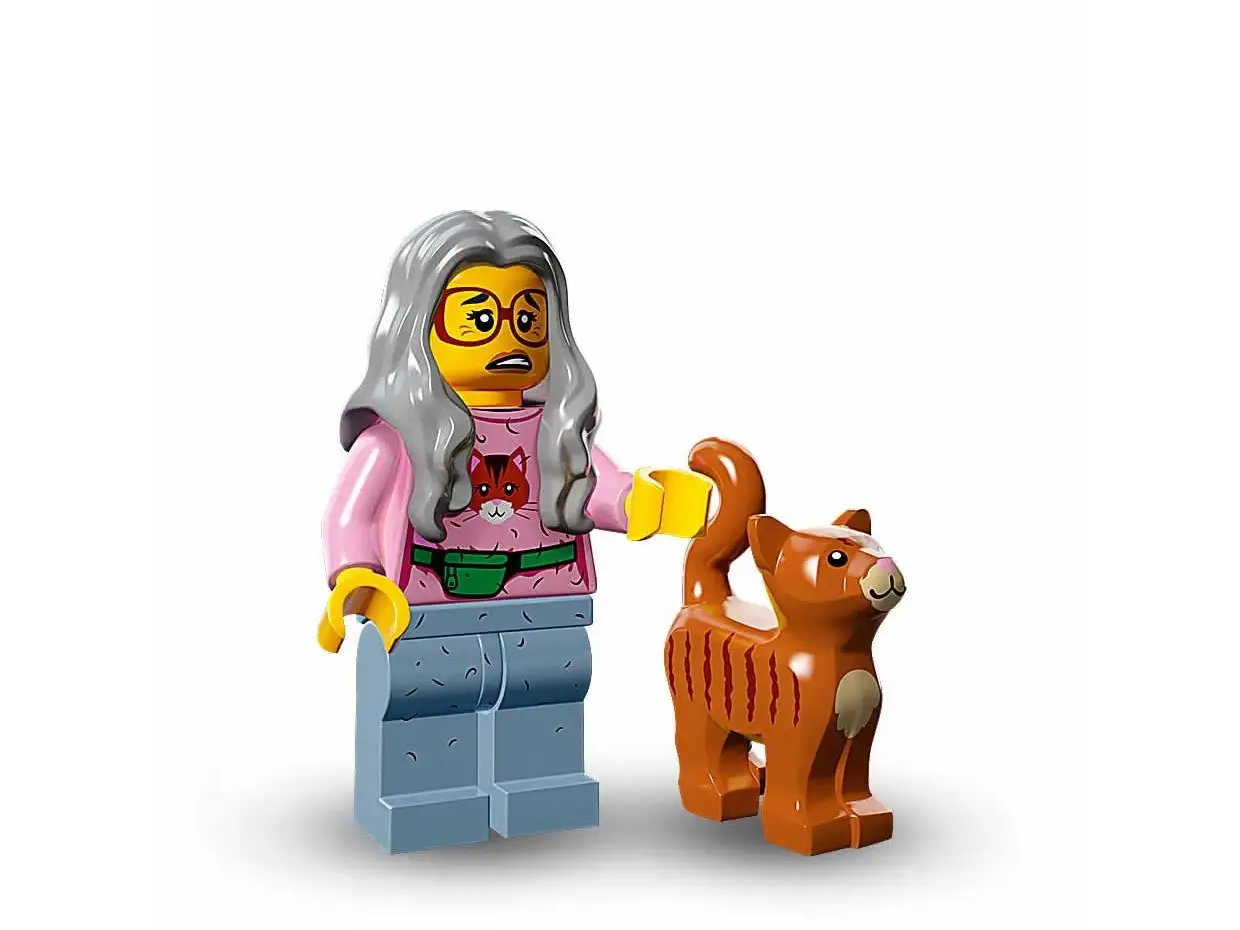 LEGO Set 71004-6