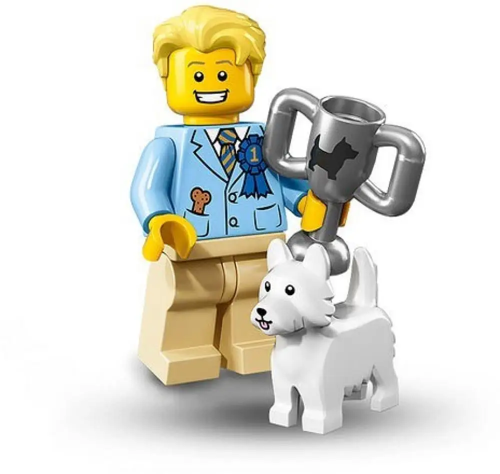 LEGO Set 71013-12