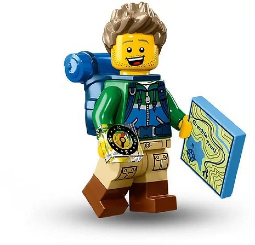 LEGO Set 71013-6
