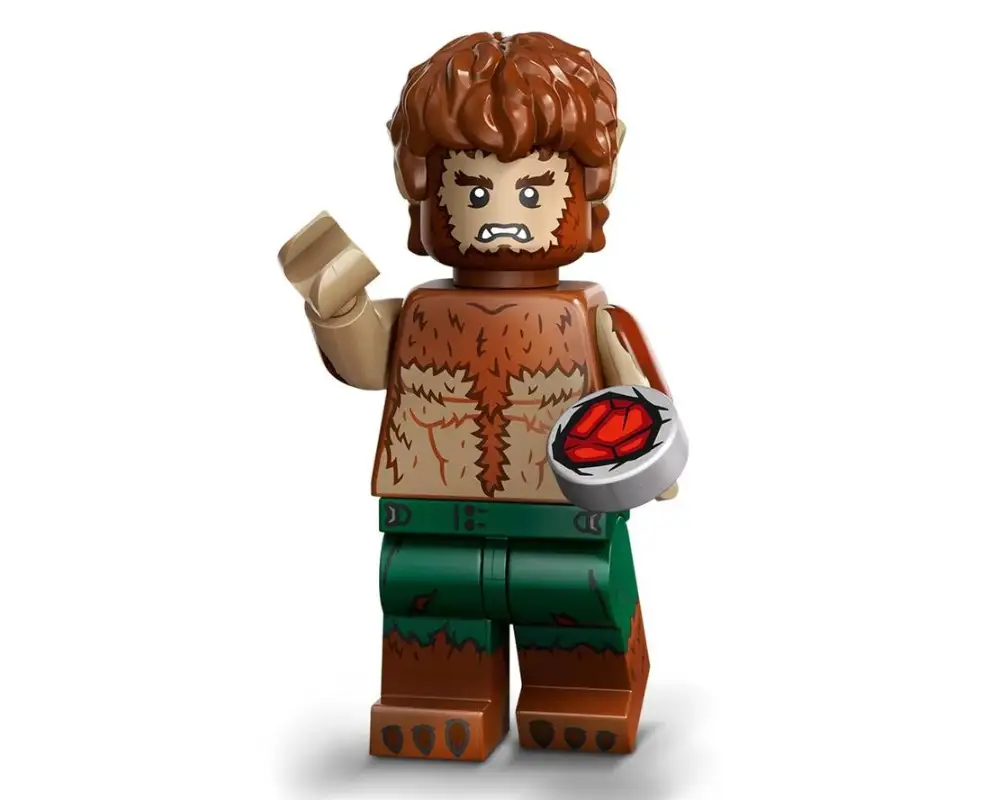 LEGO Set 71039-4