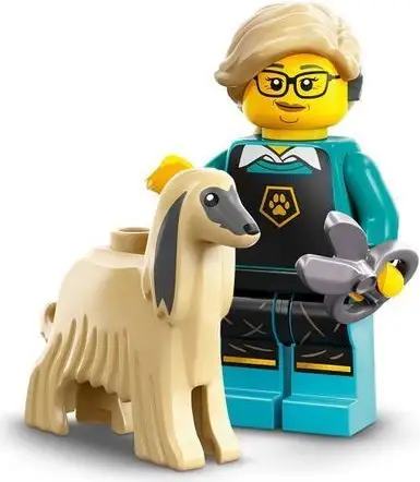 LEGO Set 71045-12