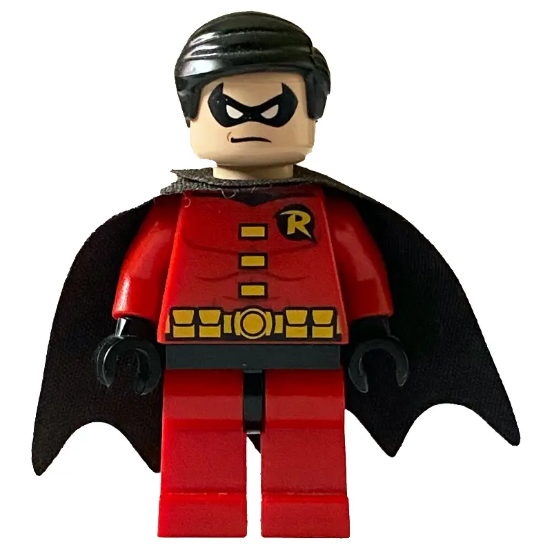 Robin with Black Eyemask