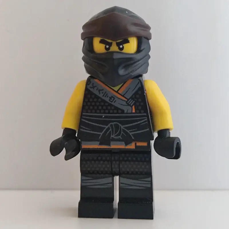 Cole in Sons of Garmadon Robe (Legacy)