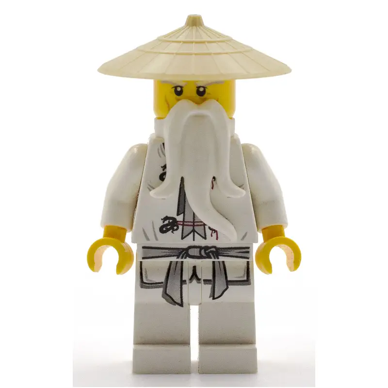 Master Wu