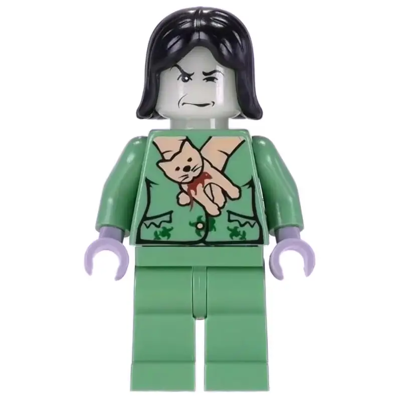 Professor Snape Boggart, Black Hair