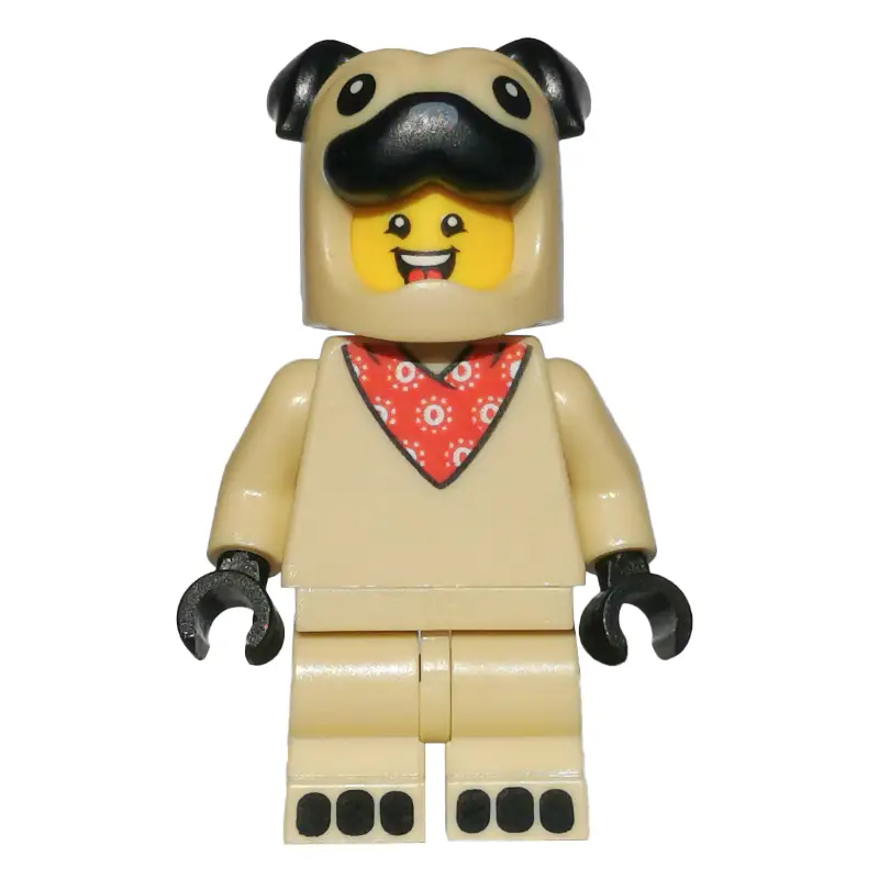 Pug Costume Guy