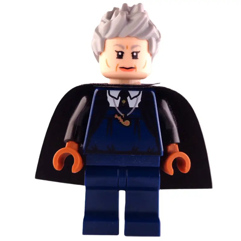 Madame Hooch, Dark Blue Outfit (50231 Cape)