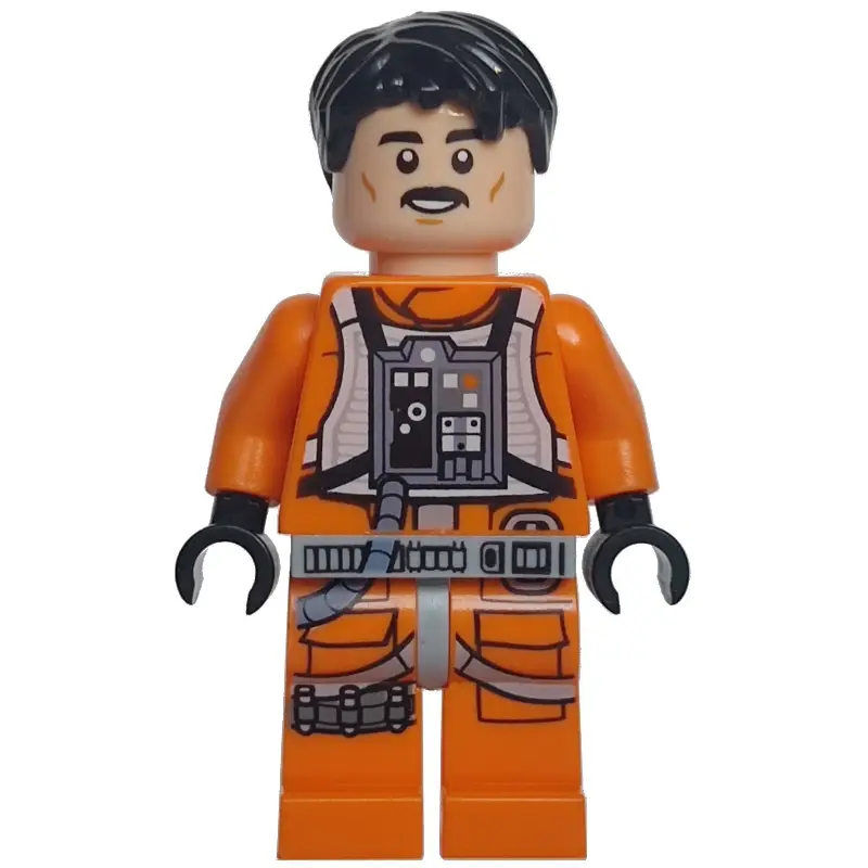Biggs Darklighter - Black Hair