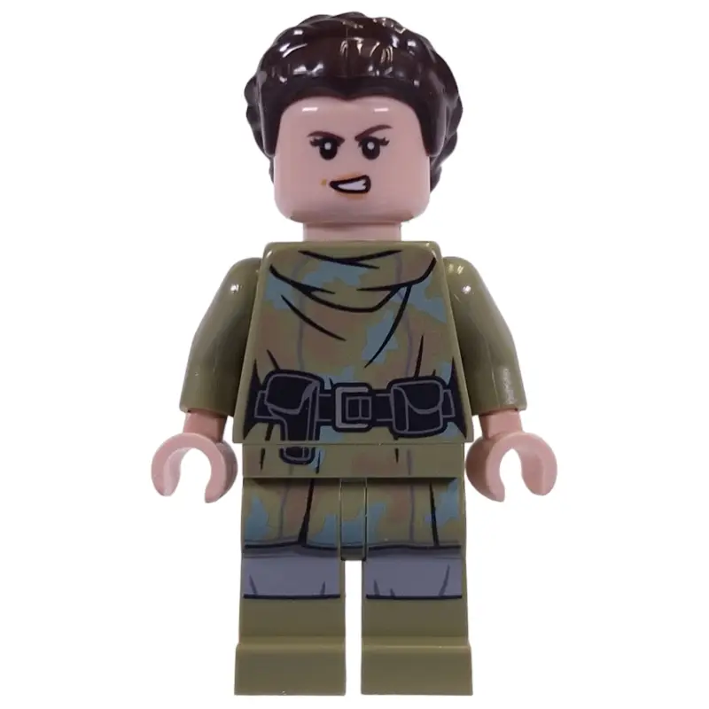 Princess Leia, Endor Outfit, Hair