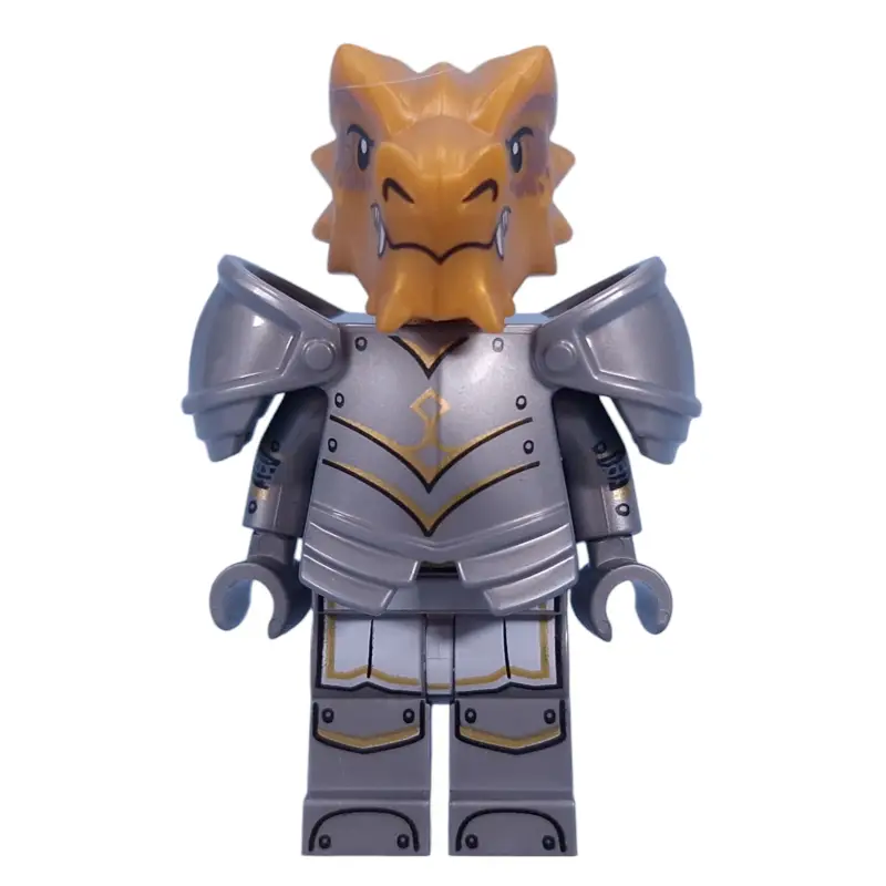 Dragonborn Paladin