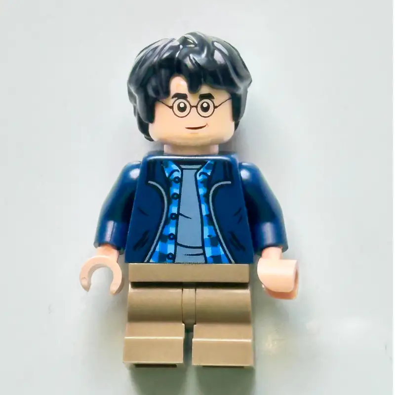 Harry Potter