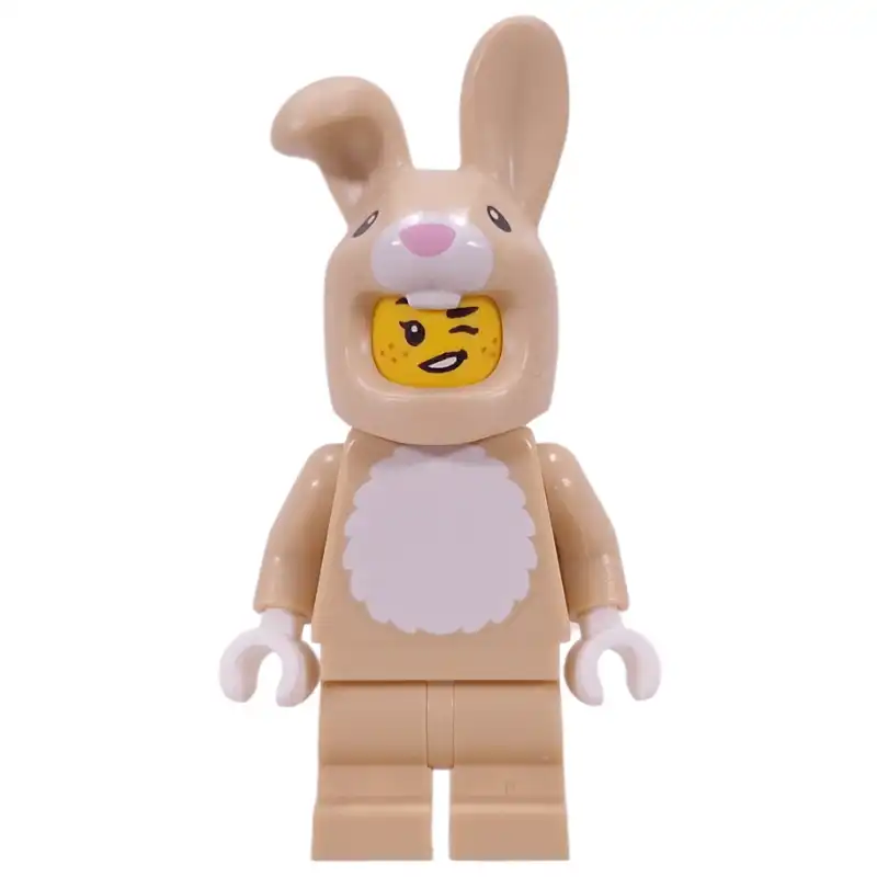 Rabbit Suit