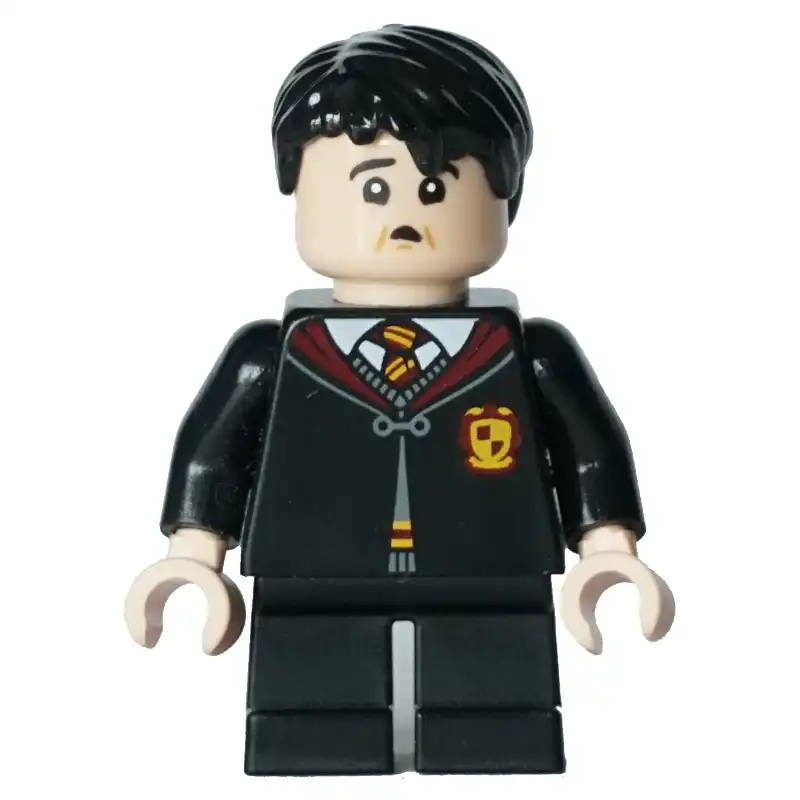 Vincent Crabbe / Ron Weasley, Gryffindor Robe with Crest