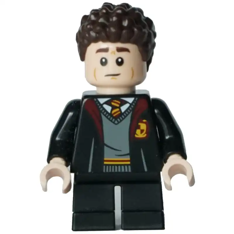 Gregory Goyle / Harry Potter, Gryffindor Robe with Crest